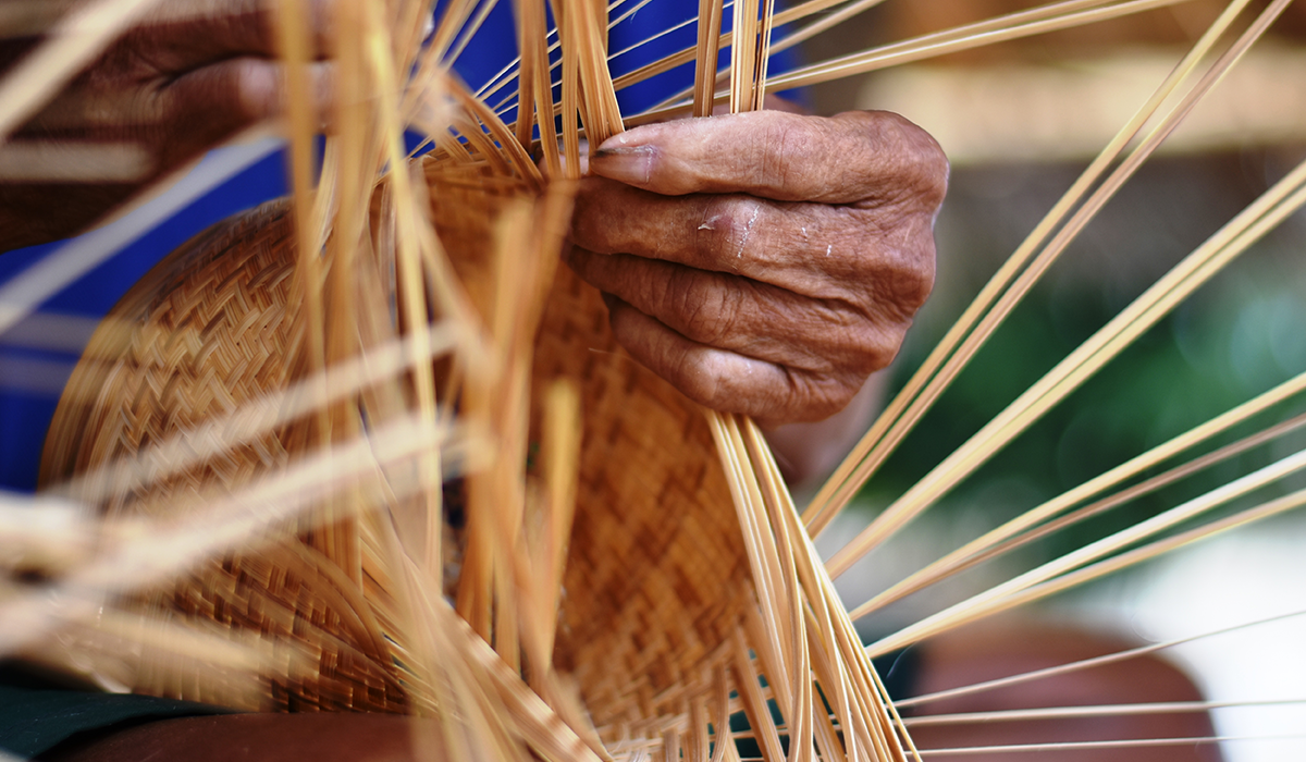 From ancient times to modern day exploring the many uses of bamboo in